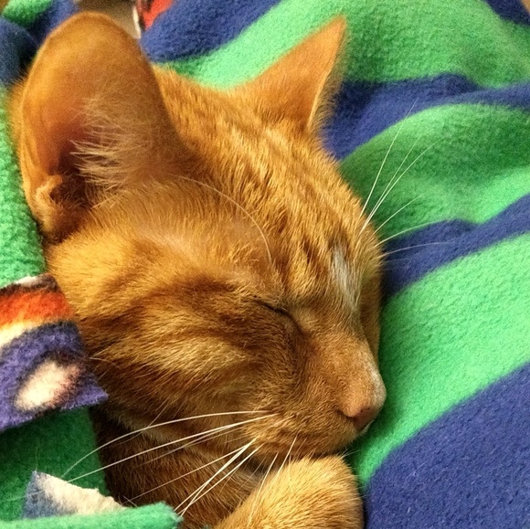 Meet your Posher, Jacqlyn - Picture 1 of 1